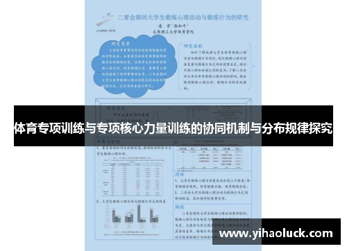 体育专项训练与专项核心力量训练的协同机制与分布规律探究