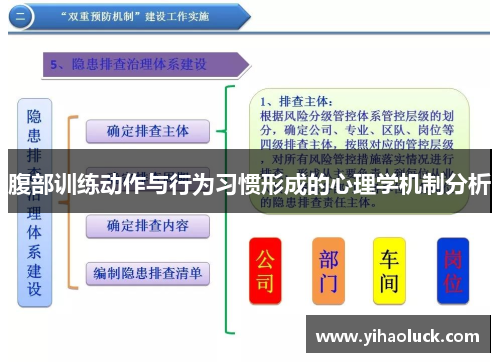 腹部训练动作与行为习惯形成的心理学机制分析